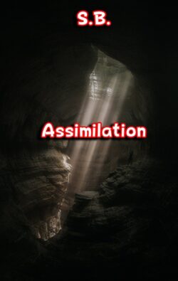 Assimilation